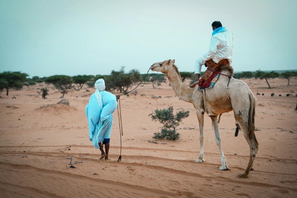 Mauritania's Desert Guardian: The Lone Protector of Ancient Islamic Texts in 2026