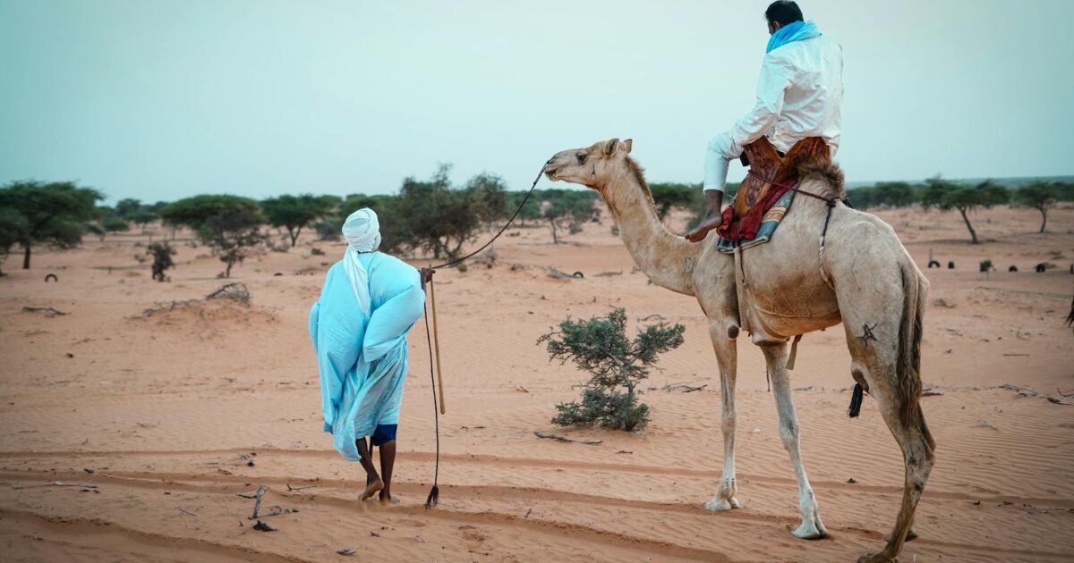 Mauritania's Desert Guardian: The Lone Protector of Ancient Islamic Texts in 2026