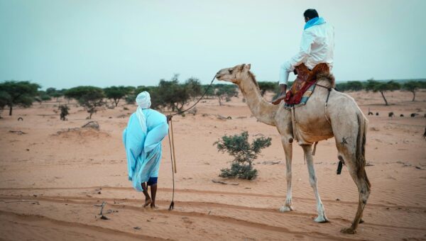 Mauritania's Desert Guardian: The Lone Protector of Ancient Islamic Texts in 2026 - featured