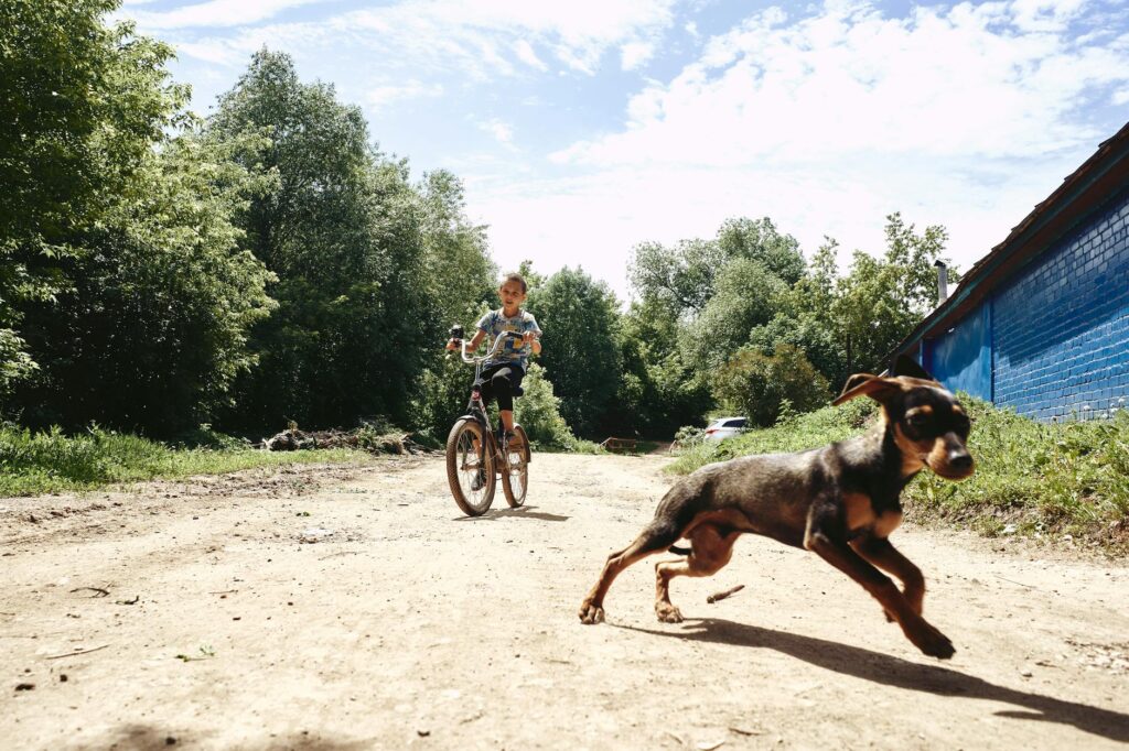 A boy rides his bike on a dirt road with his playful dog running alongside in a sunny countryside setting.