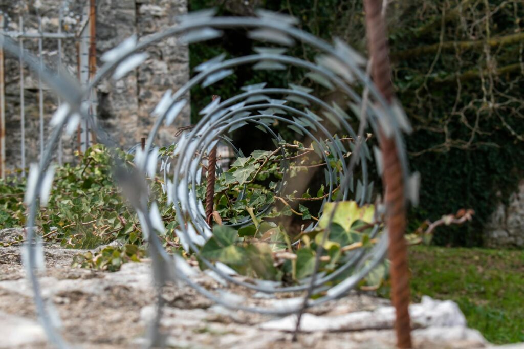 Close-up of barbed wire against nature backdrop in Ioannina.