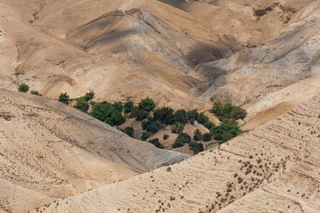 A stunning aerial shot of Israel's arid desert terrain with patches of greenery.