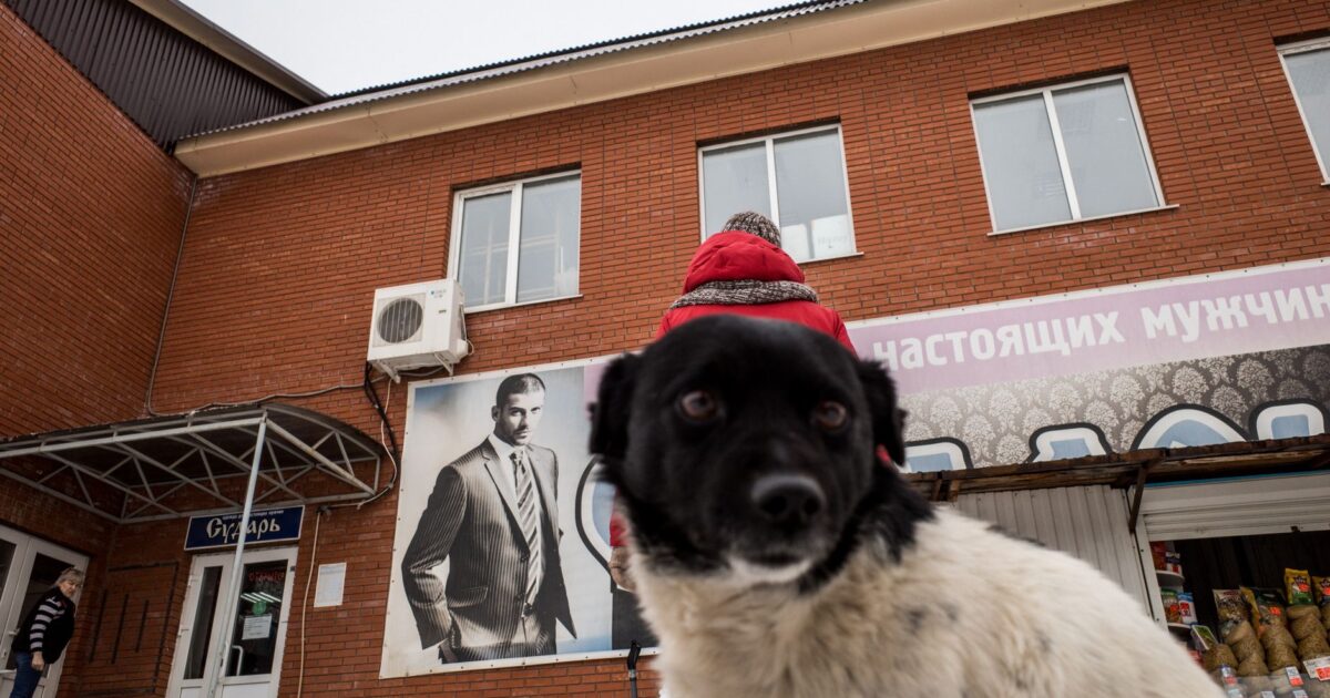 Russia's E-commerce Giant Wildberries Faces Devastating Blow as Ukraine Strikes More Warehouses in 2026 - featured