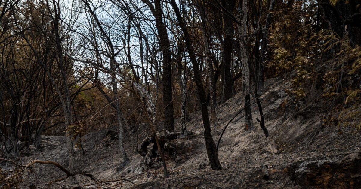 Breaking: Devastating Consequences of Ukraine-Russia Conflict Intensify in 2026, Leaving Five Dead in Moscow Region - featured