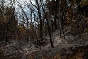 Breaking: Devastating Consequences of Ukraine-Russia Conflict Intensify in 2026, Leaving Five Dead in Moscow Region - featured