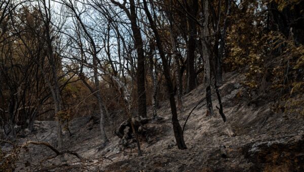 Breaking: Devastating Consequences of Ukraine-Russia Conflict Intensify in 2026, Leaving Five Dead in Moscow Region - featured