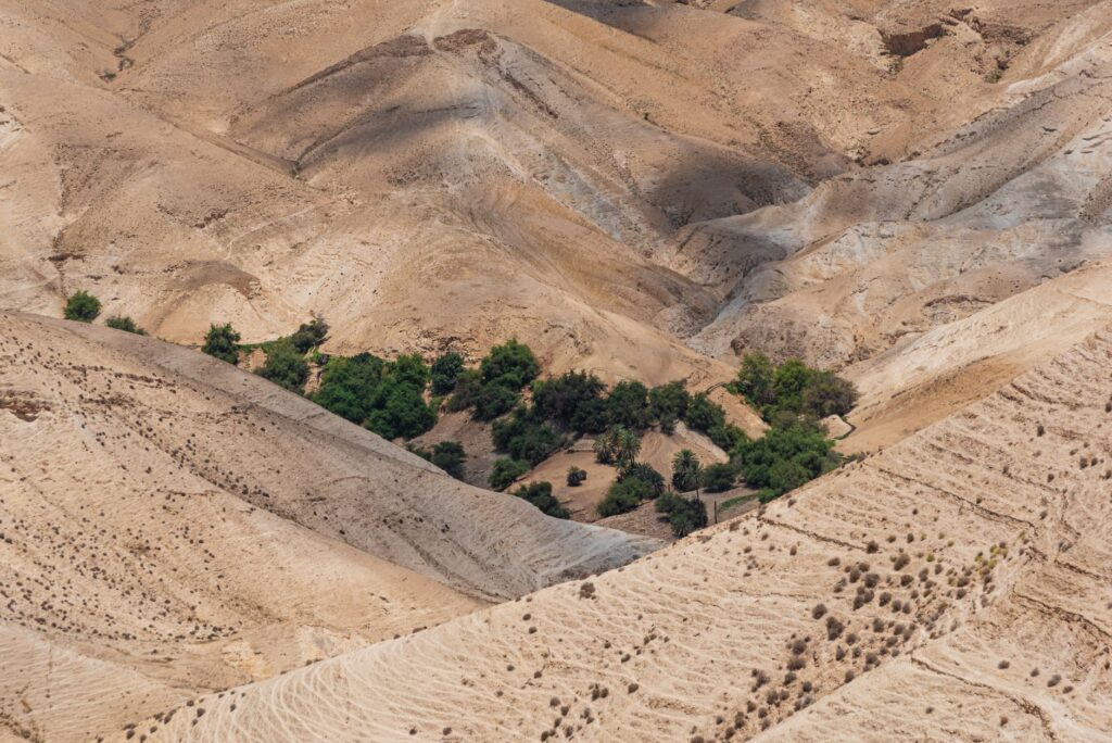 A stunning aerial shot of Israel's arid desert terrain with patches of greenery.